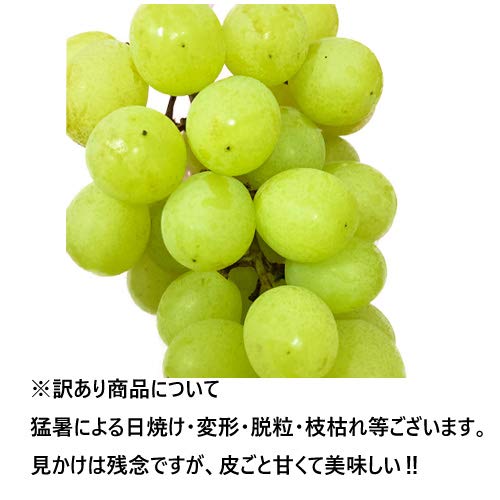 厳選フルーツ マルイチ西川商店 シャインマスカット 訳あり の商品画像 1