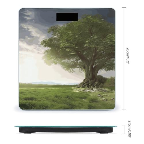 Báscula digital de baño con plataforma de vidrio templado miniatura 2
