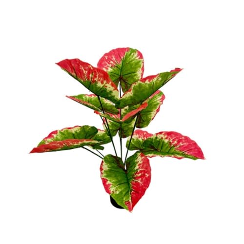Find The Perfect Tropical Plant With Red And Green Leaves