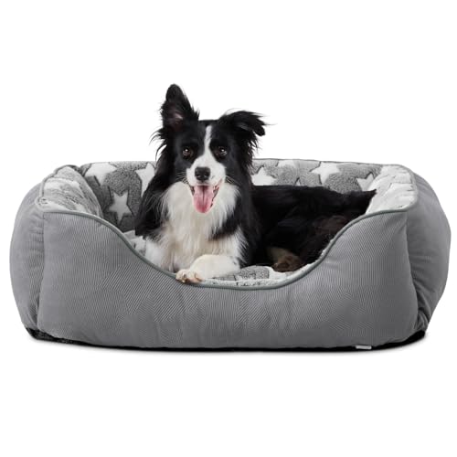 FURTIME Cuccia per cani di piccola taglia, lavabile, antiscivolo, soffice materasso per cani con bordi rialzati, morbido divano per cani e gatti M (63 x 53 x 20 cm), grigio/stelle