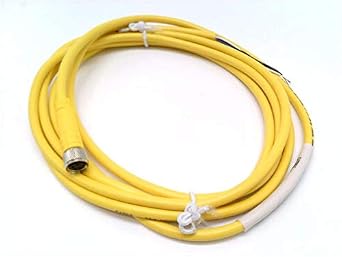 TURCK PKG 4M-2 2 Meter Length, 26 AWG, 4 Wire, CORDSET, Female Connector, M8 PICOFAST, M8X1 Threaded Coupling NUT, Nickel Plated Brass Coupling, NO LEDs, PVC Jacket, Straight, U2503-14