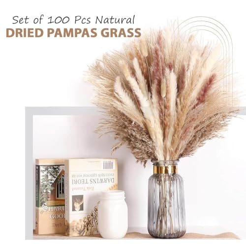 Image of TIED RIBBONS Set of 100 Pcs Natural Dried Pampas Grass Contains Real Rabbit Bunny Tail Reed Pampas - Boho Bouquet Artificial Flowers for Table Vase, Party Wedding & Home Decoration (17 inch Length)