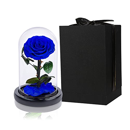Handmade Preserved Roses In Glass Dome Valentines Day Gifts For Her, Royal Blue Real Roses That Last Over A Year, Eternal Glass Roses For Her, Mothers Day, Christmas Day, Birthday Day, Anniversary Day #TOP3