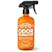ANGRY ORANGE 24 oz Ready-to-Use Citrus Pet Odor Eliminator Pet Spray - Urine Remover and Carpet Deodorizer for Dogs and Cats