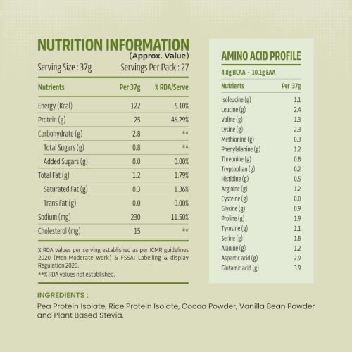 Image of Bigmuscles Nutrition Clean Plant Protein | 25g Pea & Rice Protein Isolate Per Serve (1kg, Chocolate Noir) | Complete Amino Acid Profile | Easy Digestion & Non-Chalky