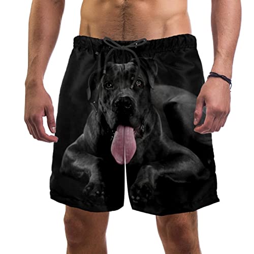 Maillots de bain pour hommes animaux chien short séchage rapide confort