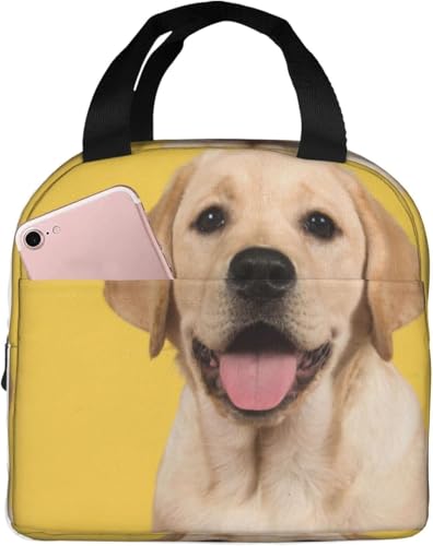 uh[Eg[o[ ё ۗ⃉`obO ٓ 킢 e ܂ y RpNg fMA~V[g |Pbgt g[gobN