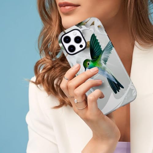 Coque magnétique iPhone 17 Pro Max double couche robuste motif colibri