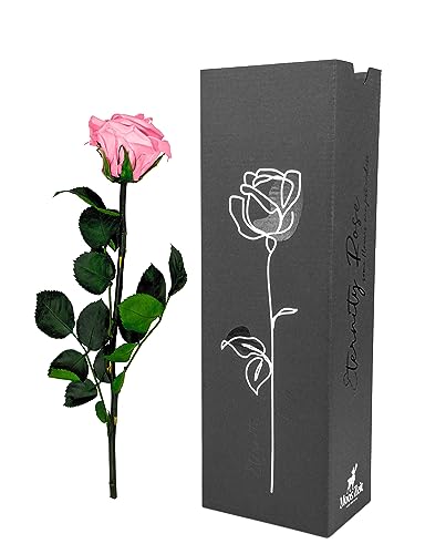 Moos Zeit KUNST DER NATUR Rosa Infinity Rose mit Stiel, echte konservierte Rose in Premium Geschenkbox - ewige Blume mit Rosenduft Haltbar bis zu 3 Jahre Moos Zeit KUNST DER NATUR Rosa Infinity Rose mit Stiel, echte konservierte Rose in Premium Geschenkbox - ewige Blume mit Rosenduft Haltbar bis zu 3 Jahre