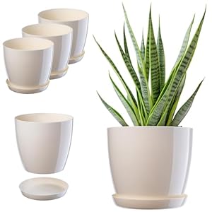 KADAX Bloempot, plantenpotset met onderzetter, plastic bloemenbak, ronde plantenpot voor binnen, bloempot voor bloemen en kamerplanten, kruidenpot (set van 3-20 cm, ecru)