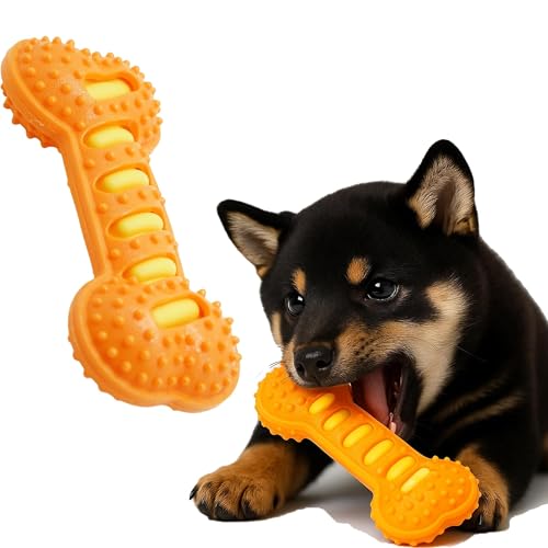  o     ނ ɂ Ŕjɂ    􂢂₷ ^s sǓƊ ϋv ɓKp S  f^PA 肨PA  łȂ