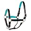 Black/Turquoise