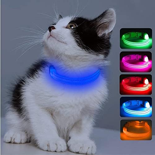 Candofly Reflective LED Dog Collar - Light Up Dog Collars USB Rechargeable Puppy Collar Durable Nylon Pet Collar Dog Lights for Night Walking & Camping (X-Small, Blue)
