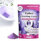 Fizzclean Toilet Cleaner, Fizzclean WC-Reiniger, Insta-Action Fizzclean Schaum, WC-Reinigungsschaum, Berührungsfrei Schäumender WC-Reiniger