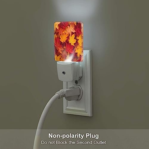 Image of Autumn Leaves Fall LED Plug-in Night Light 2-Pack, Auto Sensor Nightlights Set of 2 for Bedroom Bathroom