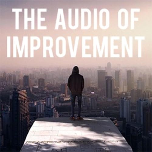 The Audio of Improvement copertina