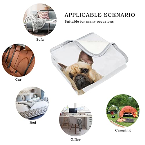 Kids Throw Blanket For Sofa Couch, Beautiful French Bulldog, Soft Cozy Warm Bed Blankets Gift For Adults Girl Boys 50 X 60 In #TOP1
