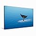 Produktbild CALVENDO Premium Textil-Leinwand 75 x 50 cm Quer-Format Die Welt der Meere, Leinwanddruck von Heike Hultsch