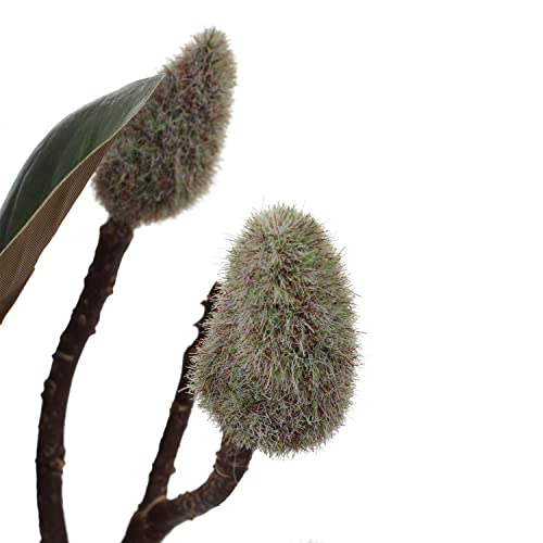 Dilatata Magnolias Artificial Flowers 3Pcs Silk Magnolias Stems Faux Magnolia Flowers 17.7" Real Touch Magnolia Flowers Branch For Office Vase Table Centerpiece - Pink Magnolia 3Pcs #TOP7