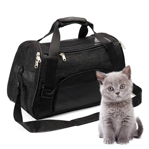 Small Cat Carrier The 15 best products compared Wild Explained