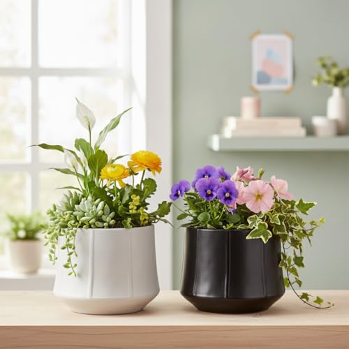 Image of Xtore 2 Pc Elegant Matte Black Ceramic Planter Pot for Indoor Plants & Tabletop Styling | Modern Minimal Desk, Shelf & Living Room Decor (Black & Grey, Planters only)