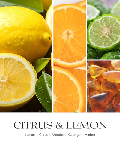 Image of AOOVOO Citrus Lemon 11oz Large Odor Eliminating Highly Fragranced Candle - Eliminates 95% of Smoke, Food, Pet and Other Smells Quickly, Air Freshing Soy Candles, Up to 50 Hours Burn time