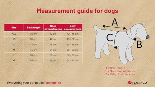 Flamingo Hundemantel Winter – Iglu Grau – 55cm – warm & modisch – Polyester – wasserabweisend – isothermische Innenschicht – reflektierend – Brust- & Bauchabdeckung – Geschirröffnung
