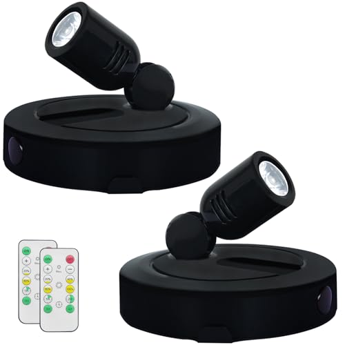 HAMVIDNE Battery LED Spotlight,Indoor Display Light for Picture with Remote