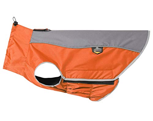 Best Pet outdoor clothing