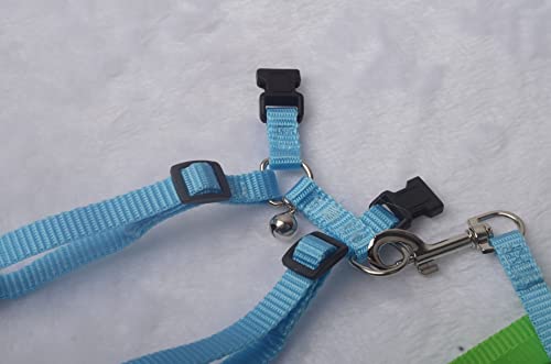 Image of Adjustable Hedgehog Harness for Training Playing Traction Rope Small Animal Pet Outdoor Play (Blue, Fit Small pet)