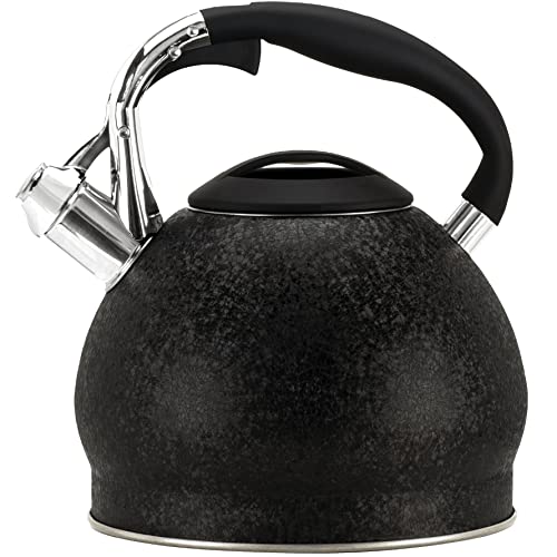 Find The Best Rust Free Tea Kettle Reviews & Comparison Katynel