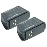 vhbw 2x batteria compatibile con SRAM Force eTap AXS, RED eTap, Eagle X01
