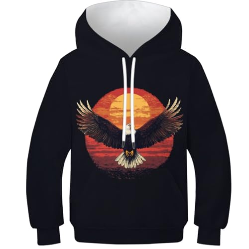 Sweat à capuche faucon motif 3D anti-décoloration pull 10-12Y