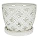hypehouse Allen + roth 8 in. Orchid Pot with Saucer White