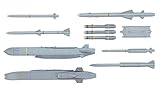 Hasegawa
