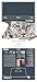 LYRA - Metal box of pastels and sketching pencils brown tones + accessories - 25 pieces