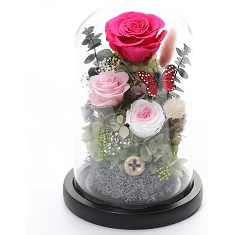 Jtoder Flowers for Delivery Prime, Preserved Long Lasting Real Flower in Glass Dome, Never Withered Rose Gift for Mom Wife Girlfriend on Christmas Mothers Day Valentines Day Birthday (Pink, 8.5'') Cover