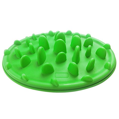 Miss.AJ Forest Adventure Design Dog Bowl Anti-chocking & Slow Food Dog Bowl