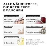 HEY HOLY Set 7 kg Trockenfutter & 1 x 200 g Snacks für Retriever 100% getreidefrei | Hundefutter & Leckerlis für ausgewachsene Retriever mit Lamm | Hochverträglich aus natürlichene Zutaten