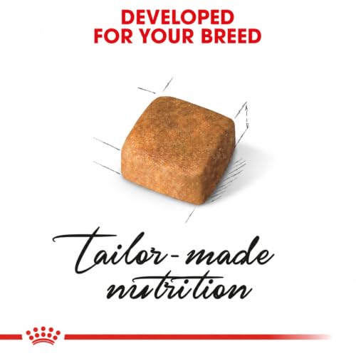 Image of Royal Canin Persian Kitten Food, 1 Kg, Dry Food, Supports Healthy Growth & Long Hair, Digestive Health, and Immunity System