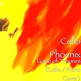 Phoenix Inc