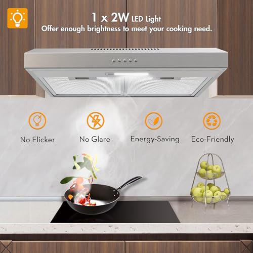 FIREGAS Dunstabzugshaube 60 cm, inkl. Aktivkohlefilter,Unterschrank-Dunstabzugshaube, 3 Geschwindigkeiten, Abluft-/Umluftmodus, LED, Waschbarer Filter, Silber, Wandmontage