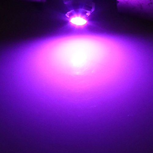 Bulbos T3 LED Pink para Auto Interior Panel 12V 12 unidades miniatura 4