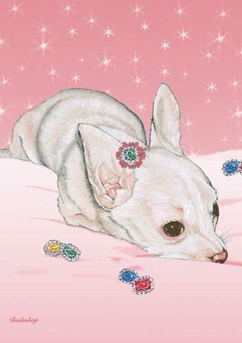 Chihuahua Blank Note Cards Boxed