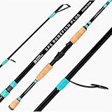 Dark Matter SPS Inshore Redfish Plus Travel Spinning Rod