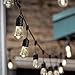 Sterno Home 48-Ft Vintage-Style Waterproof Outdoor LED String Lights – Hanging Edison Bulbs on Black Rubberized Cord – For Backyard, Weddings, Patio, Porch, and more.