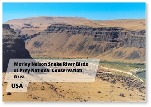 Morley Nelson Snake River Birds of Prey National Conservation Area, Idaho State, Design 7, Fridge Magnet