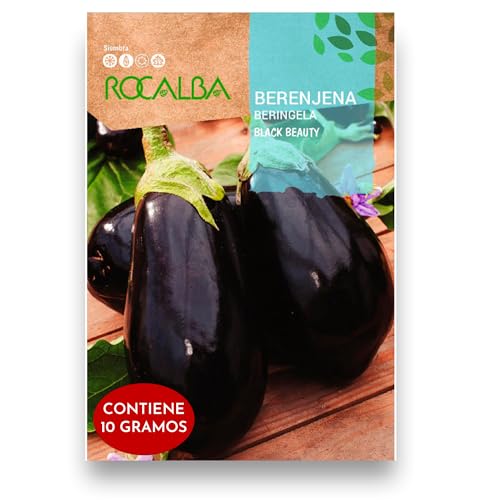 Semillas Berenjena Negra Variedad Black Beauty | Sobre 10 GR | Cultiva tus semillas de berenjenas negras en tu huerto para tener los mejores cultivos todo el año | Rocalba