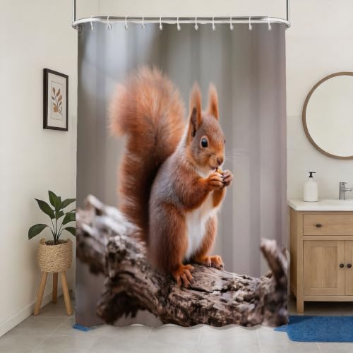 Rideau de douche 200x200 écureuil en polyester imperméable pour baignoire - 2