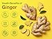 Fresh Organic Ginger Root – Premium, Natural, and Versatile with Strong, Bold Flavor for Cooking, Tea, and More (1 Lb)